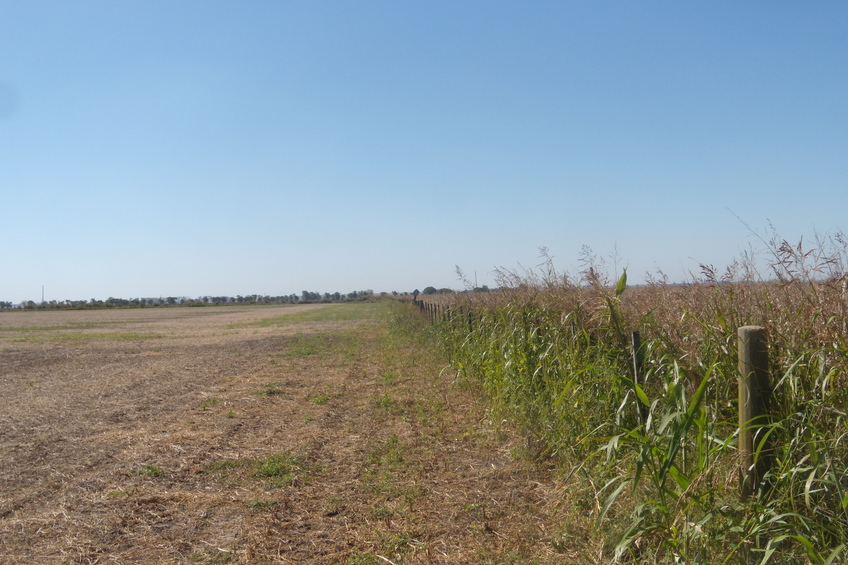 Vista hacia el Norte - View to the North