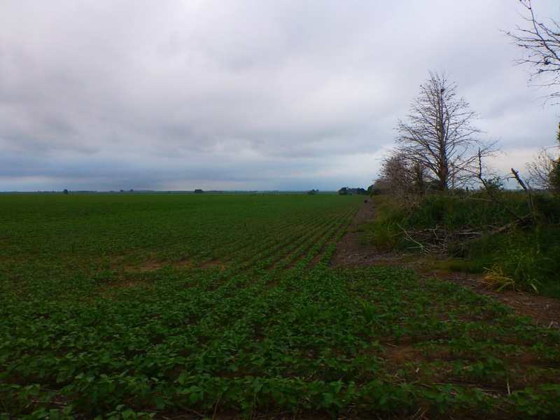 View confluence zone from 200 meters away in the farmer