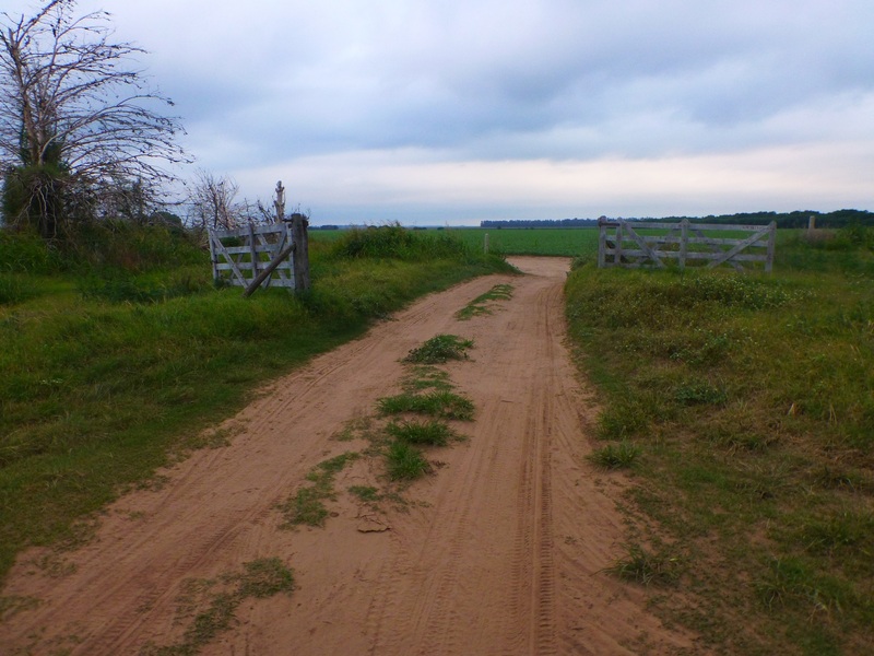 Open entry gate to property