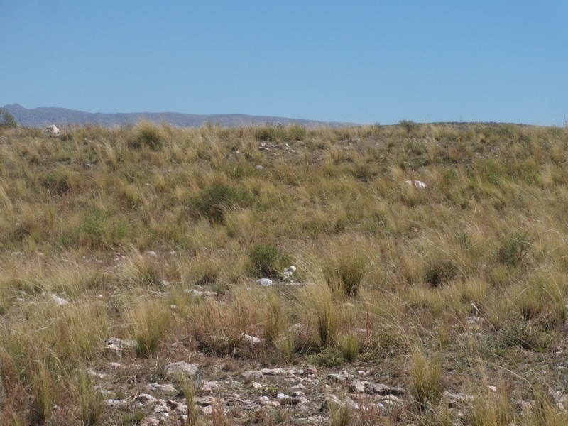 Vista hacia el Oeste - View to the West