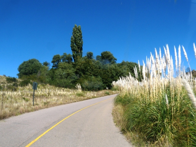 La ruta donde yace la confluencia - Road where the confluence is located