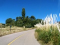 #7: La ruta donde yace la confluencia - Road where the confluence is located