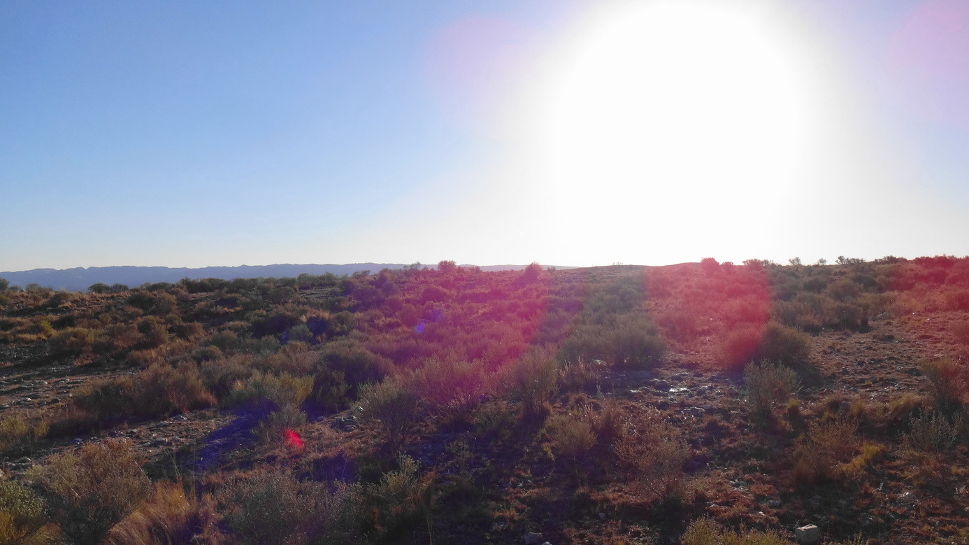 Vista al oeste. West view