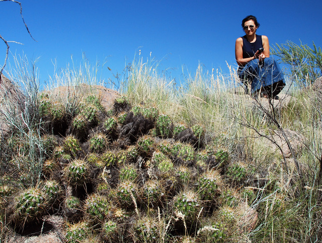 Olga refused to go beyond these giant cacti