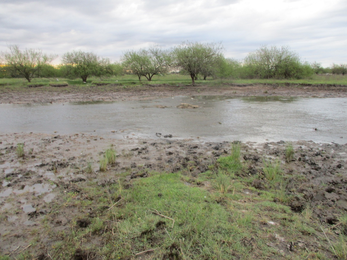 Arroyo. Stream