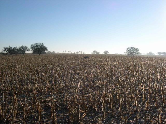 Vista hacia el Norte