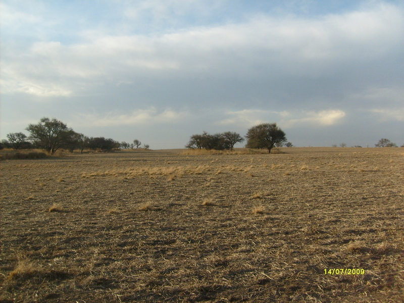 Vista hacia el Norte. North view