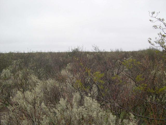 Vista hacia el Oeste (West).