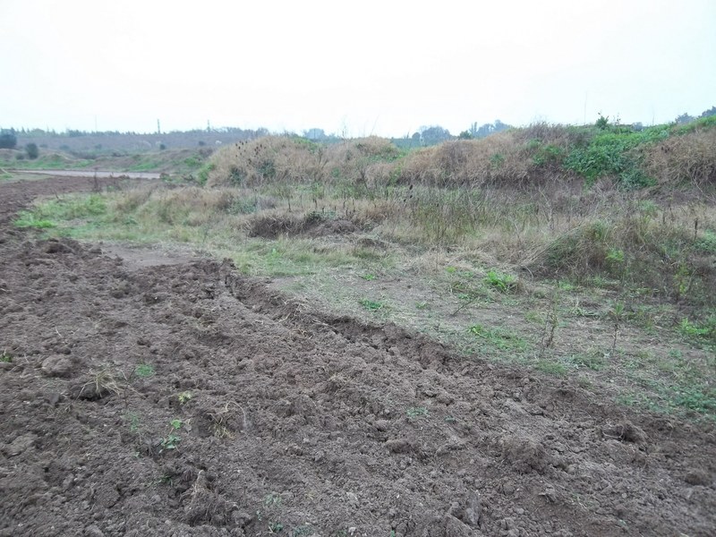 North View from the Confluence