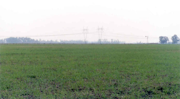 Looking north across the confluence point