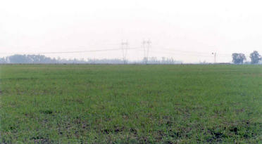 #1: Looking north across the confluence point