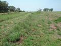 #2: an abandoned railtrack close to the confluence