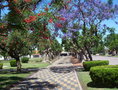 #9: Principal Square at Gral. Viamonte - Ceibo and Jacarandá