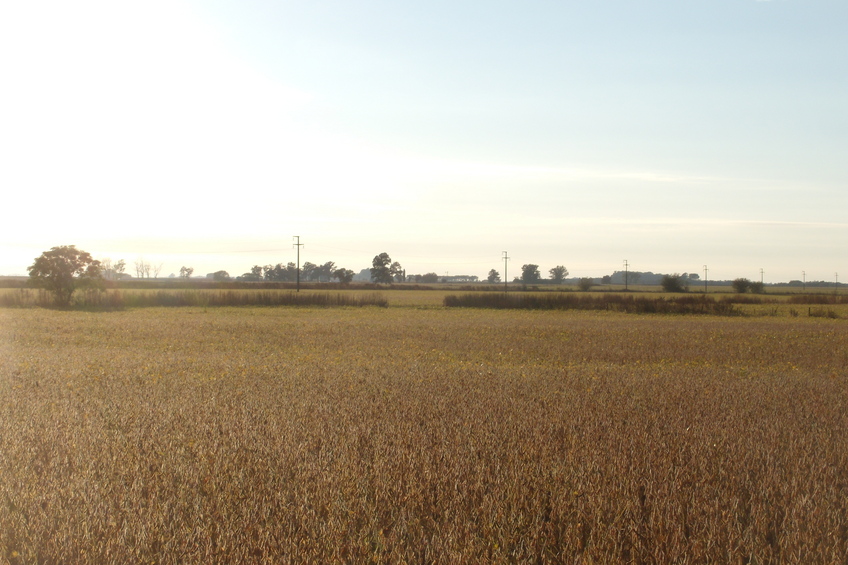 Vista hacia el Este - View to the East