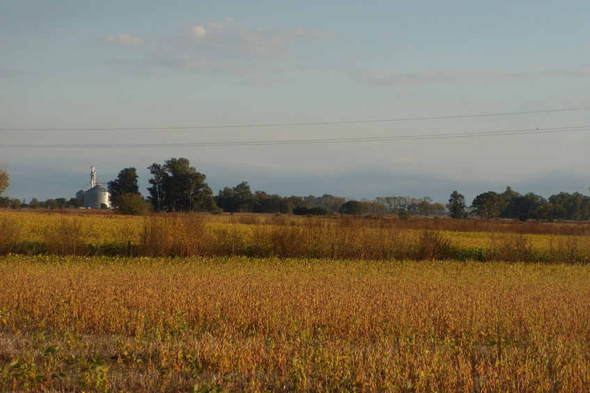 Vista hacia el Norte - View to the North