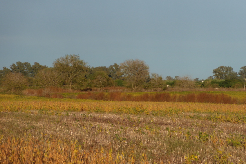 Vista hacia el Oeste - View to the West