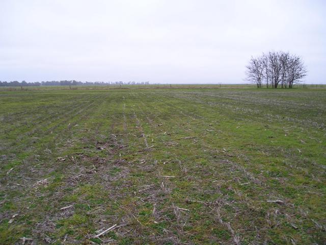 Picture of the confluence site