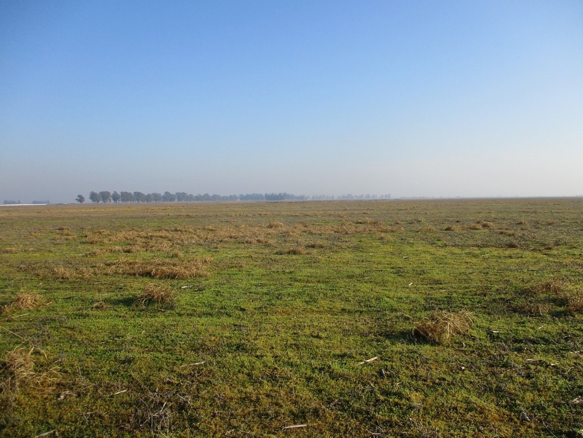 Vista Norte - View north