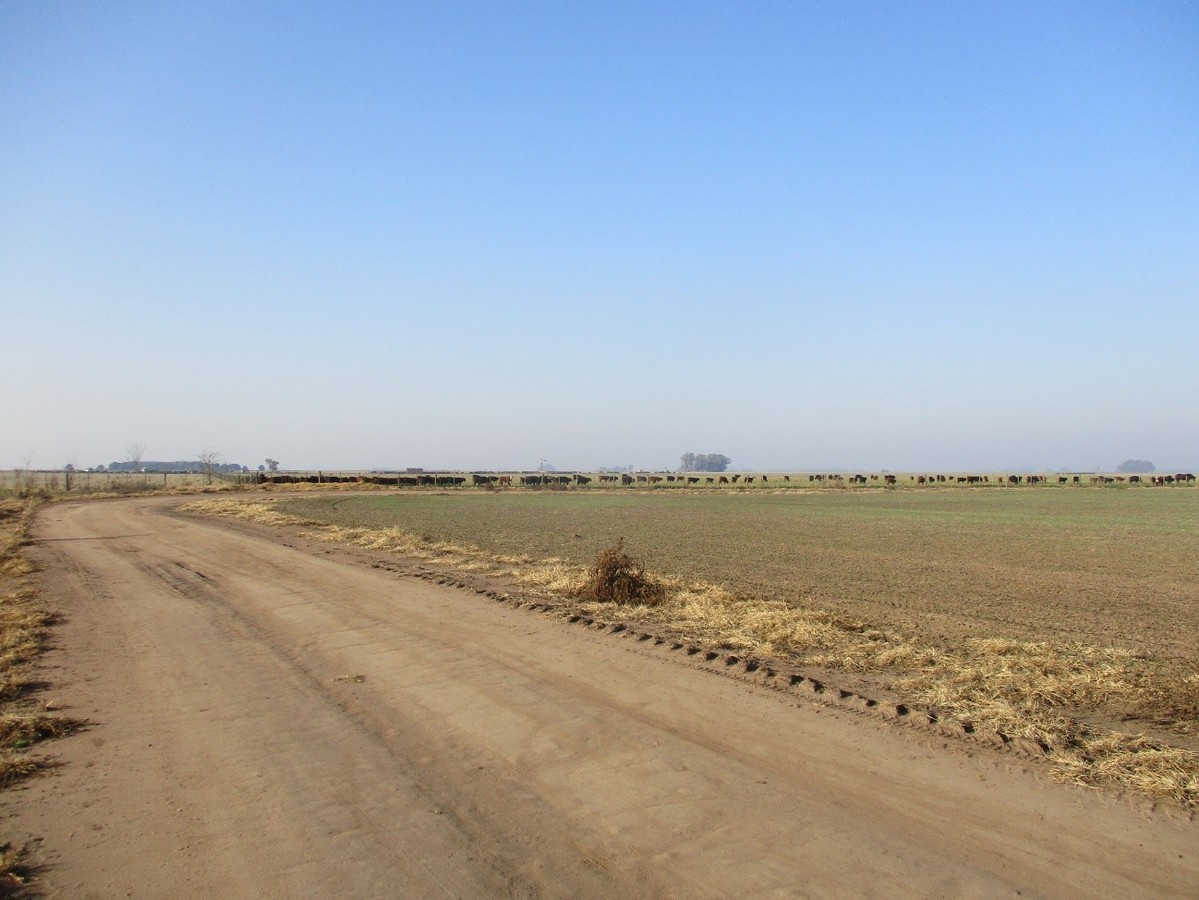 Camino hacia la confluencia - Way to the Confluence