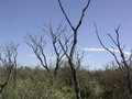 #2: Vista hacia el norte  - View to the north