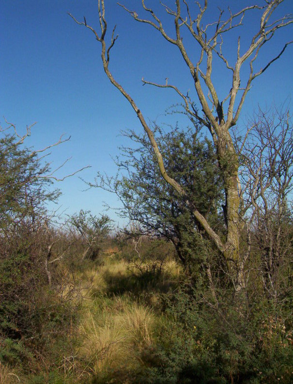 Vista general, General view