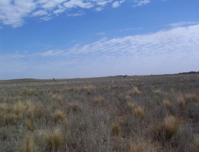 Vista Norte. North view