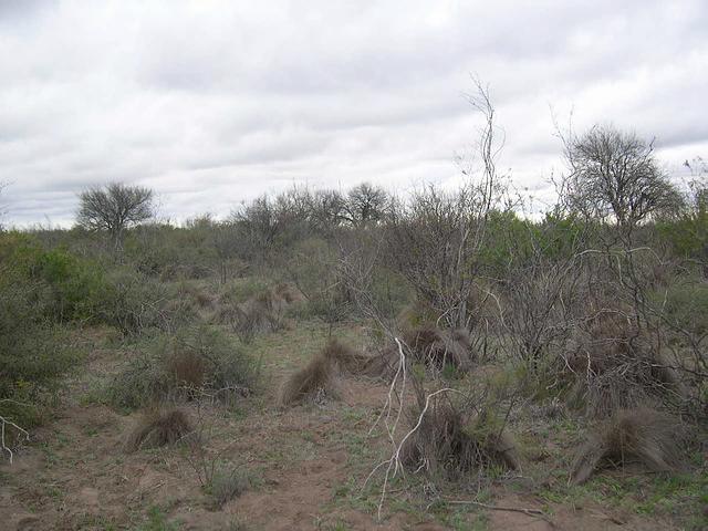 Vista hacia el Oeste (West).