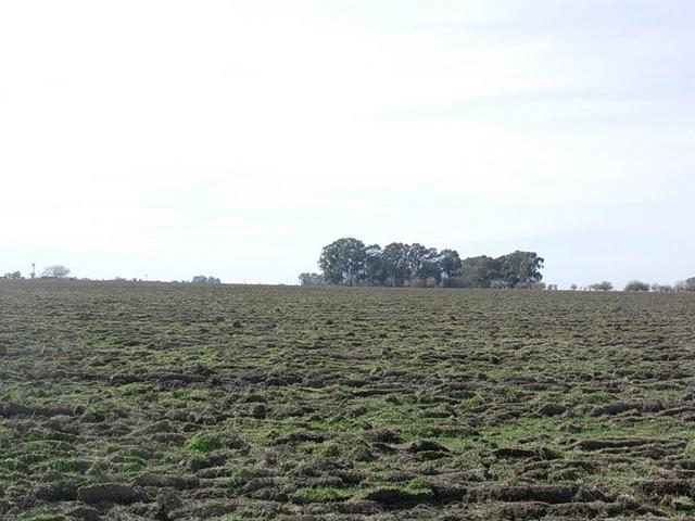 Vista hacia el norte - View to the north