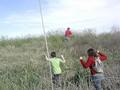 #4: Abriendo paso sobre el terraplen - Walking to cross the railroad levy