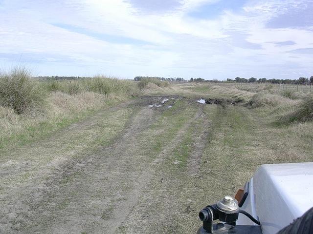 Un poquito de barro - A little of mud