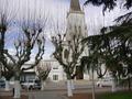 #8: Iglesia de Gral Alverar - Church in General Alvear