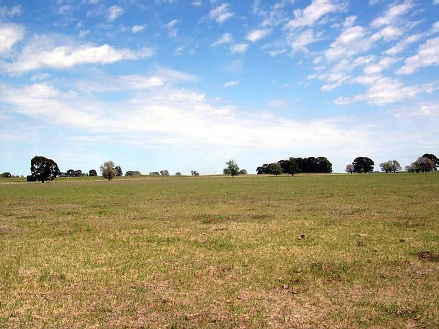 Vista hacia el Oeste (West)