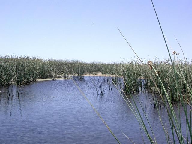 Vista hacia el Oeste - View to the west