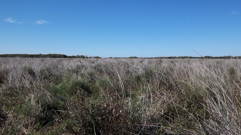 East View from the Confluence