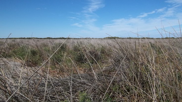 #1: General Area of the Confluence