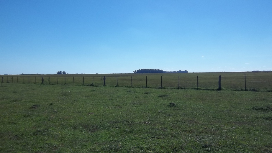 North View from the Confluence