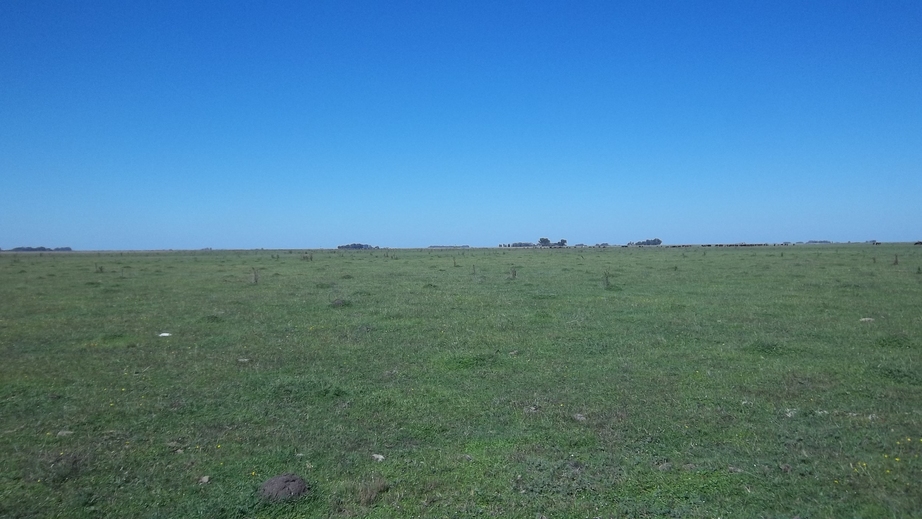 South View from the Confluence