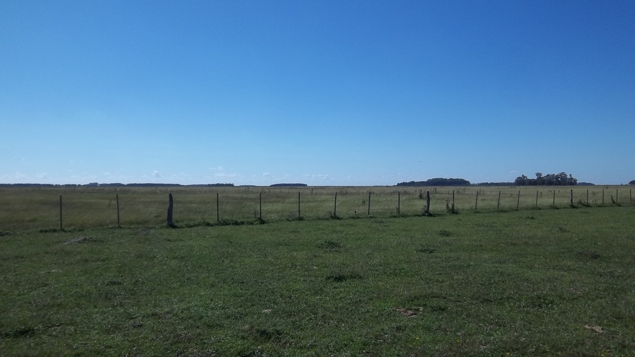 East View from the Confluence