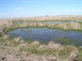 #7: humid patches around the confluence