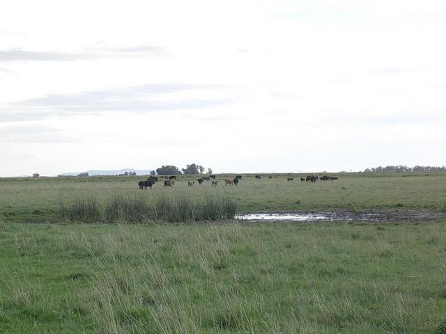 Vista hacia el sur - View to the south