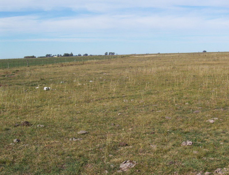 Vista general - lo blanco son osamentas de vaca. General view, the white spots are cow bones