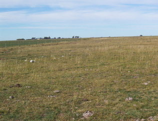 #1: Vista general - lo blanco son osamentas de vaca. General view, the white spots are cow bones