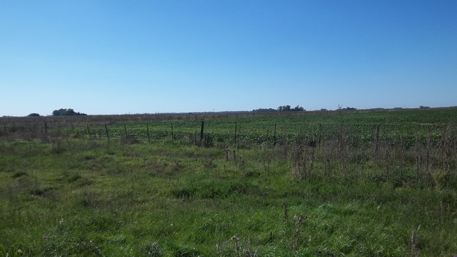 North View from the Confluence