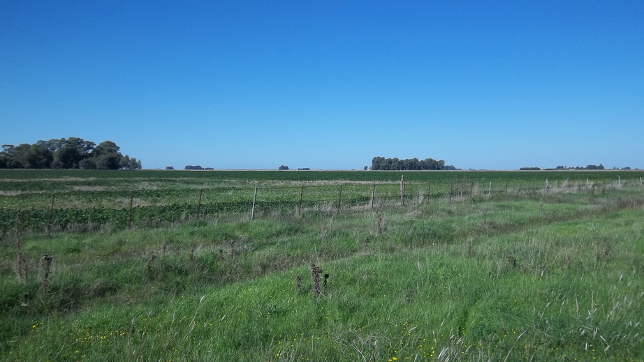 East View from the Confluence