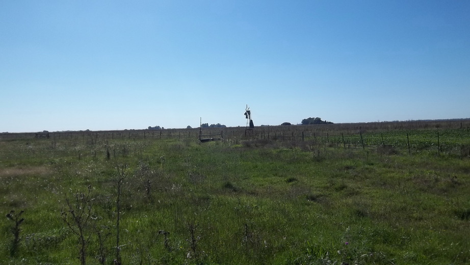 Southwest View from the Confluence, looking the windmill