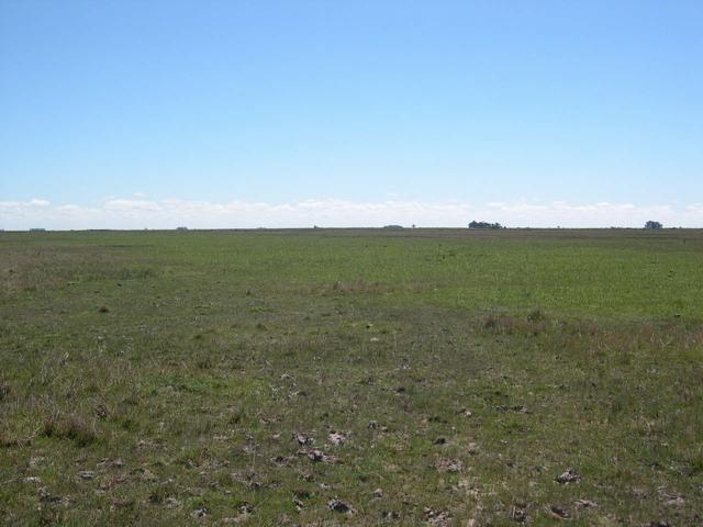 Vista desde la Confluencia hacia el Norte