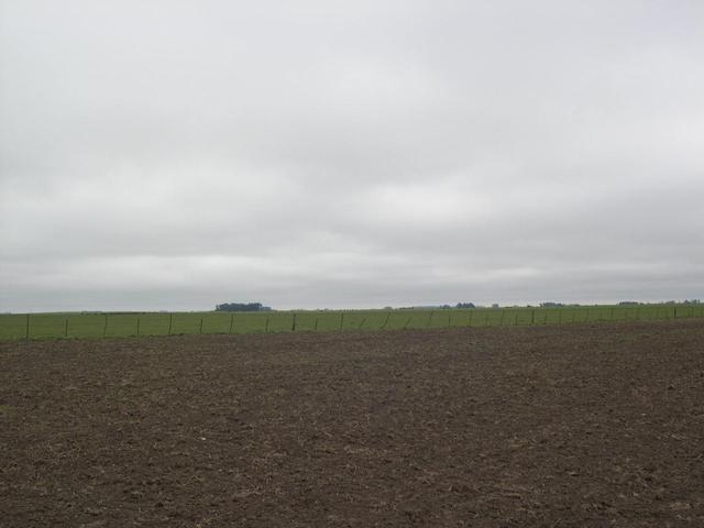 Vista desde la Confluencia hacia el Norte