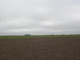 #1: Vista desde la Confluencia hacia el Norte