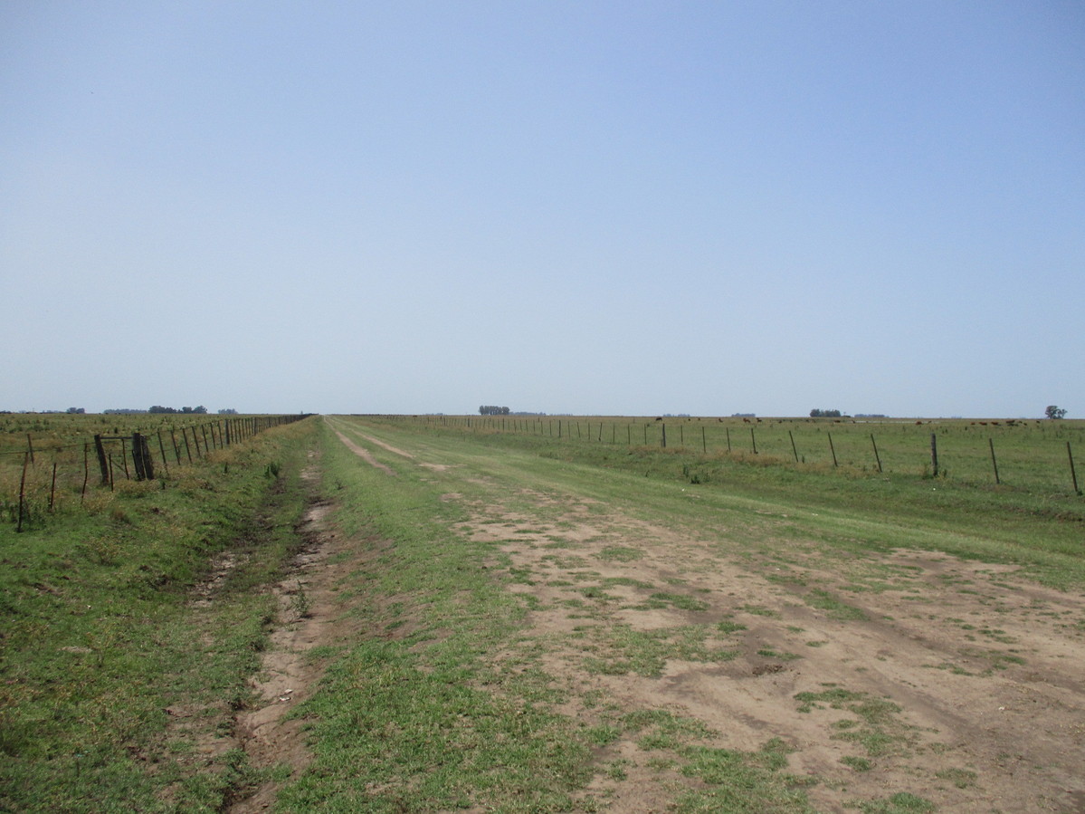 Caminos Rurales - Dirty Roads