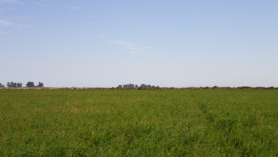 Vista hacia el norte - View to the north